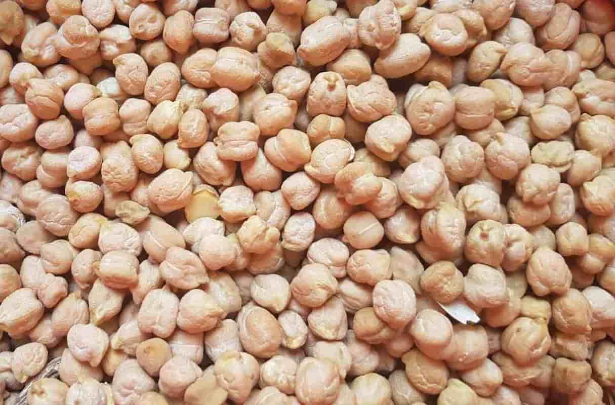 نخود صادراتی با کیفیت ممتاز و استاندارد جهانی